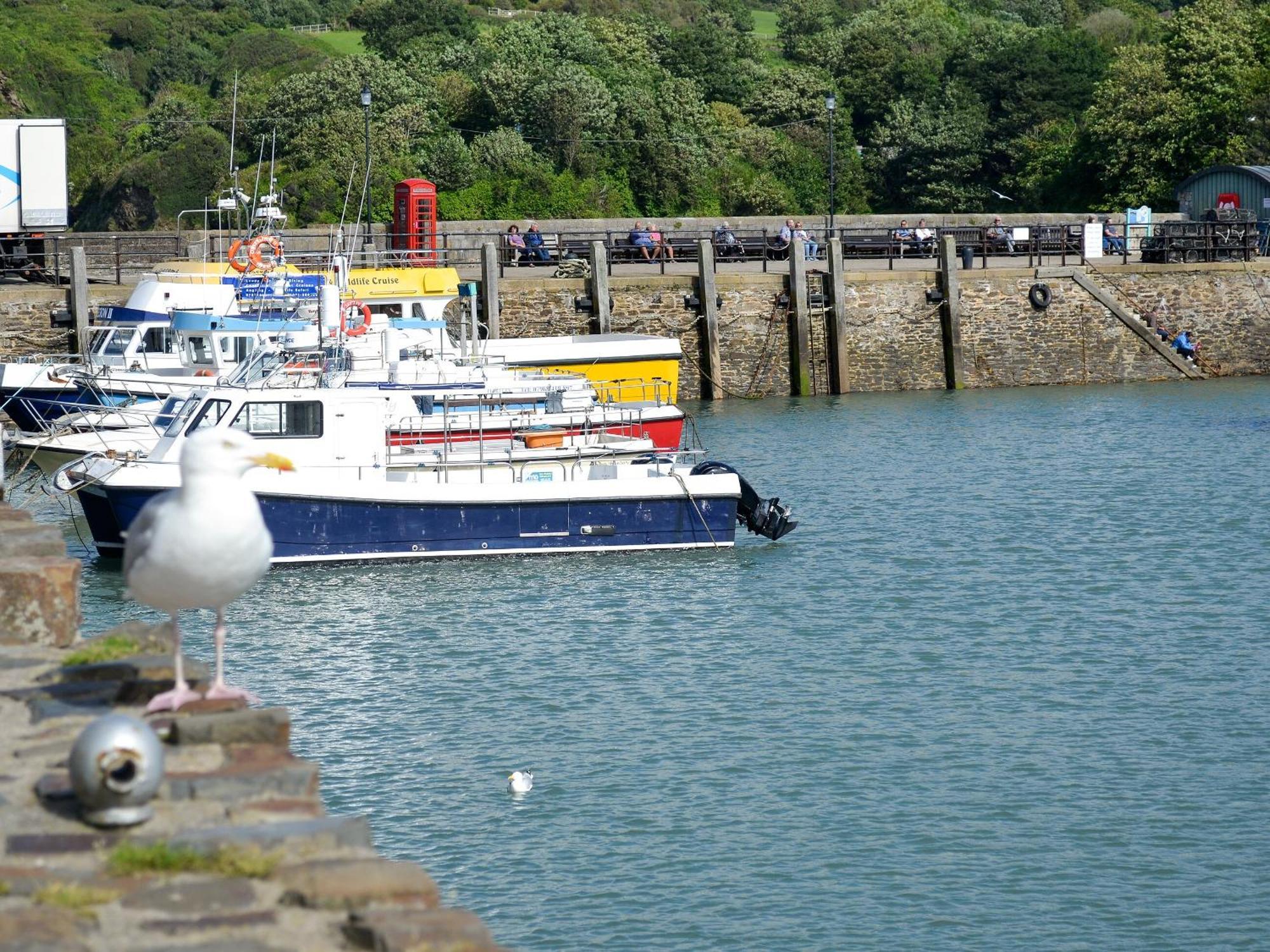 Sunset Combe Martin Exterior foto